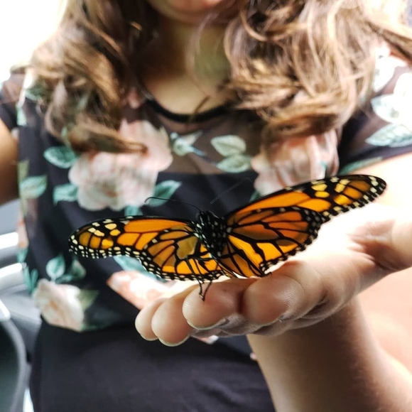 Meet your Posher, Jennifer - Picture 1 of 1